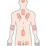 Тело человека